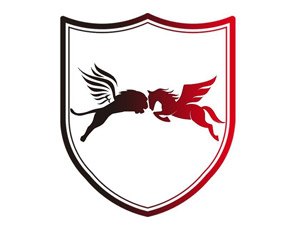 �{�R����Ƽ����޹�˾