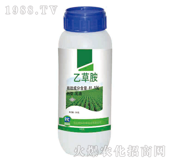 81.5%�Ҳݰ�-�x��