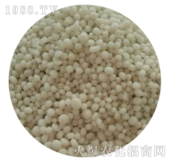 ������⛏�(f��)�Ϸ���25-10-10-���������w����-ֲ������