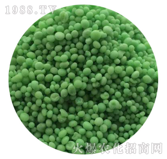 �����B(t��i)����(f��)�Ϸ���20-20-20-���������w����-ֲ������