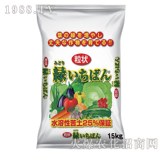 ƽ�ڴ�9-�E��