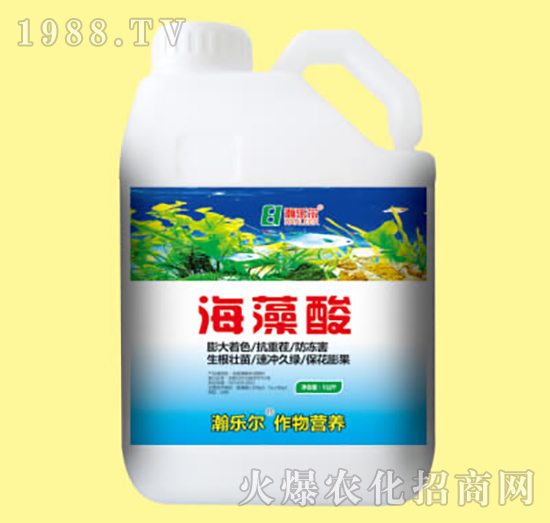 ������-嫘���