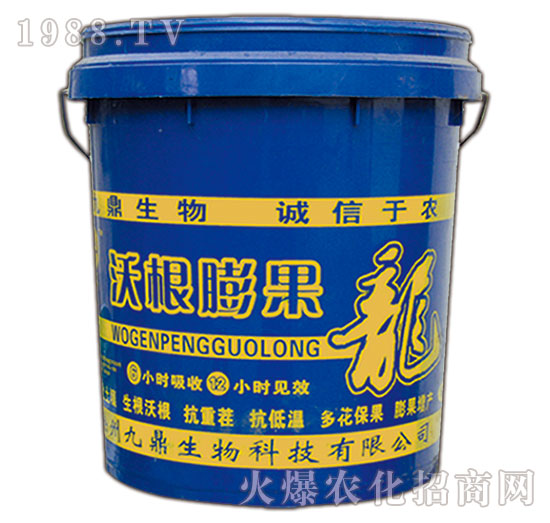 �ָ����-�ذ�Ȫ