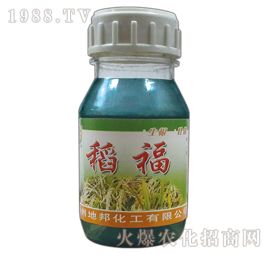 ������ƿ��-�ذ�Ȫ