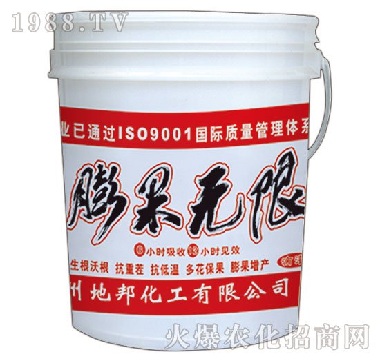 ����o��-�ذ�Ȫ