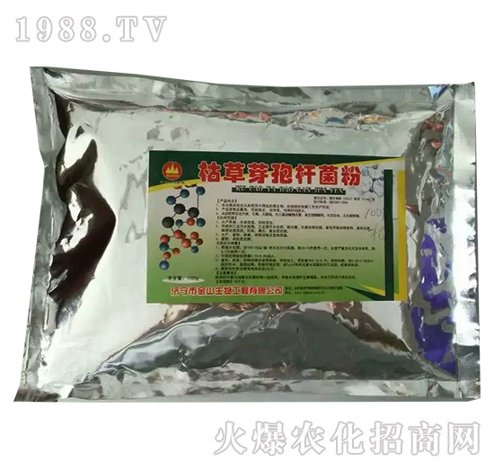 �ݲ�ѿ�ߗU����-��ɽ����