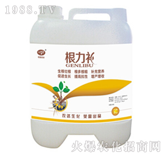 �����a-�r(n��ng)�_����