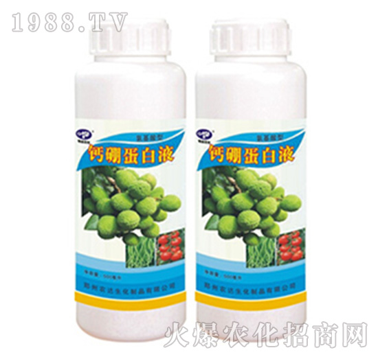 �}�𵰰�Һ-�r(n��ng)�_����