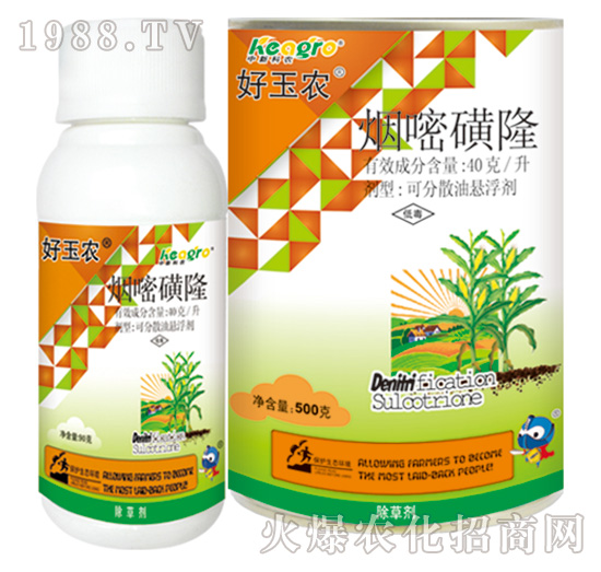 40��ÿ�����׻�¡-�����r(n��ng)-���¿��r(n��ng)