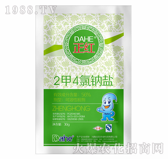 2��4���c�}-���t-�hҊ�r�I(y��)