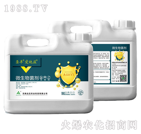 ΢�������-ʥ�S�۵���-�hҊ�r�I(y��)