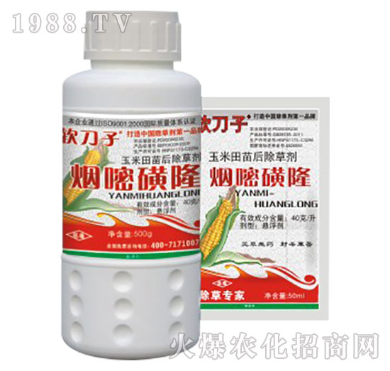 4%���׻�¡-�f(w��n)���t-�G��