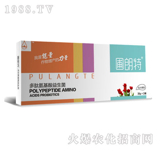 ��������-���İ�����������-������