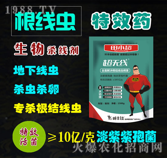 ���Y(ji��)���xˎ�������-���o��-��С��