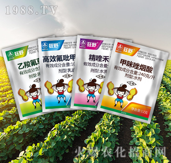 ��Ұ�M��-�к����_