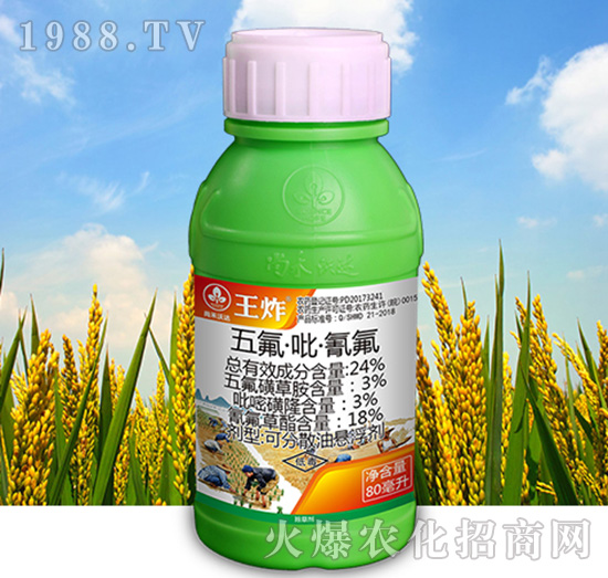 24%������������-��ը-�к����_