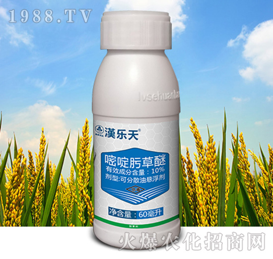 10%���뿲���-�h����-�к����_(d��)