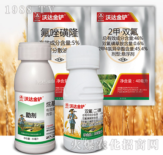 ���_(d��)���P�M��-�к����_(d��)