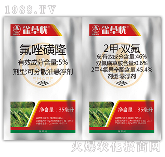 ȸ�ݑn�M��-�к����_