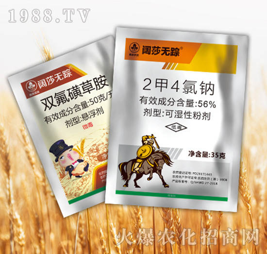 �ɯ�oۙ�M��-�к����_(d��)