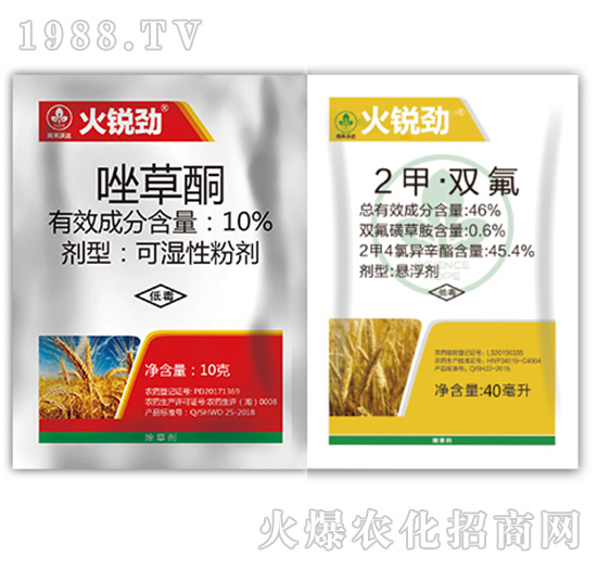 ���J�ŽM��-�к����_