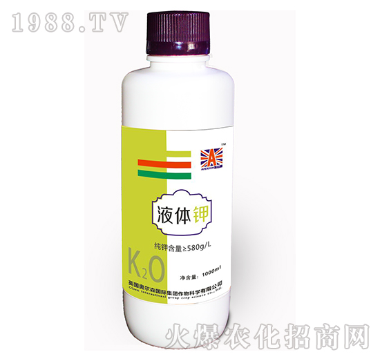 Һ�w�-�W��ɭ