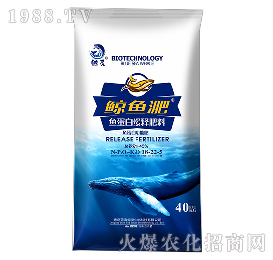 �~(y��)���׾�ጷ���18-22-5-�L�~(y��)��-����