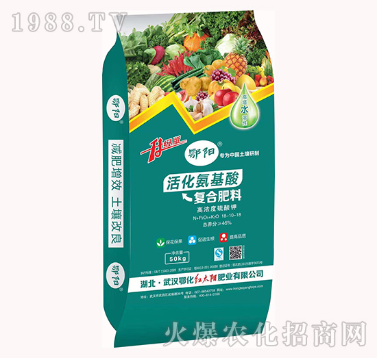 �ߝ�������18-10-18-�ͺϷ���-�t̫�