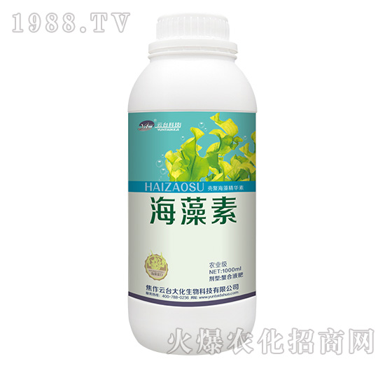 ������-���_(t��i)��