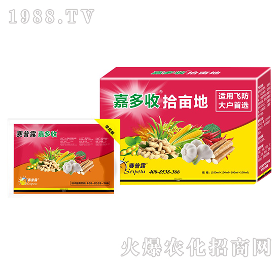 �ζ���-ِ��¶