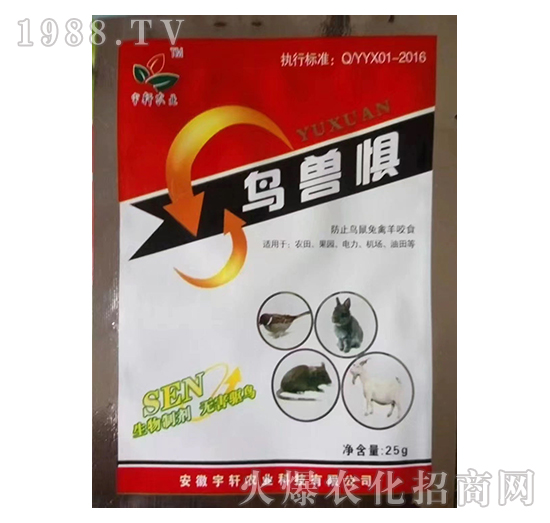 �B�F��-��܎�r�I(y��)