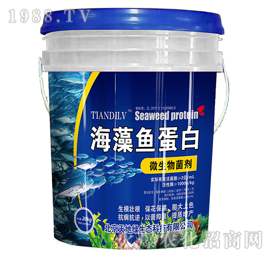 ΢�������-�����~����-��ؾG