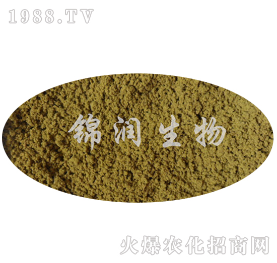 ����ù�P����-�\��(r��n)����