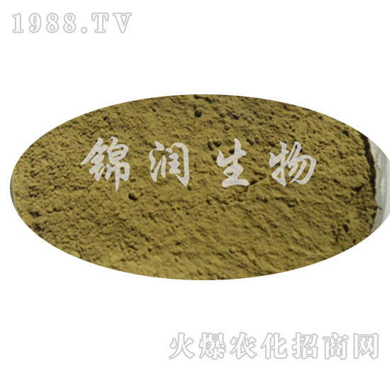 ����ù���ӷ�-�\������