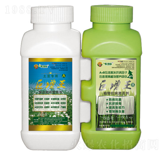 ��������������-�r�̘�