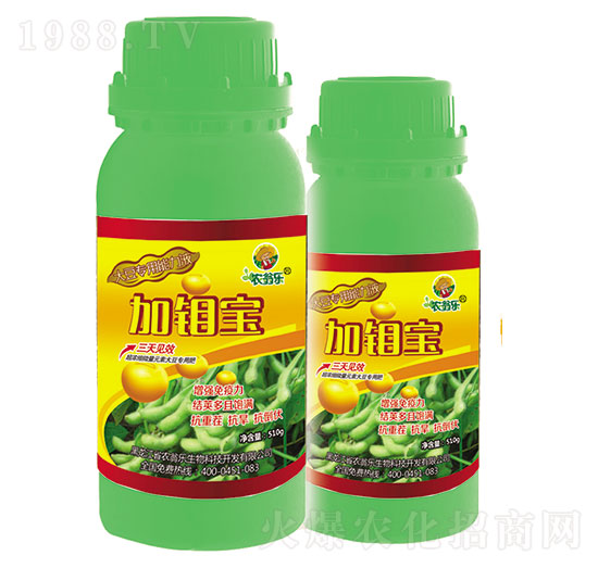 �����-���f��-�r�̘�