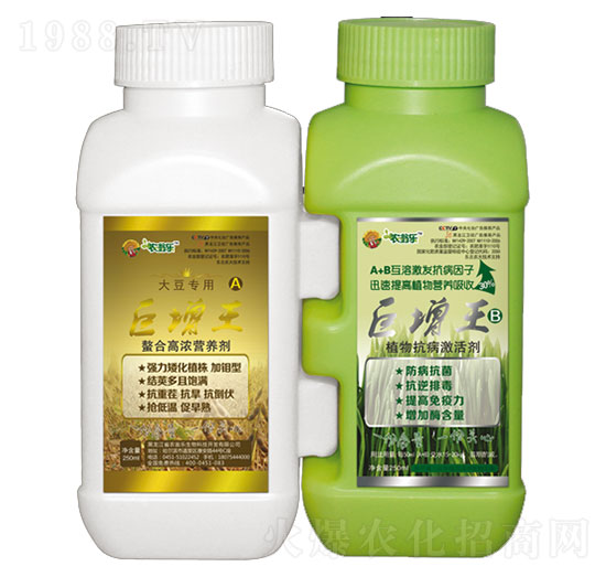 �������󶹌���-�r(n��ng)�̘�