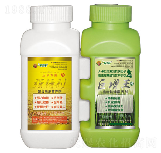 ���������׌�(zhu��n)��-�r(n��ng)�̘�(l��)