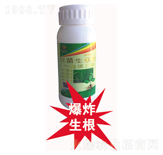 ����������-�r(n��ng)�̘�