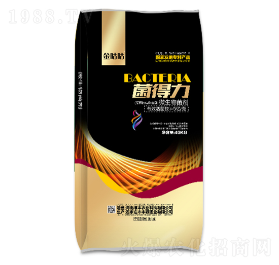 ΢���������5�|��-������-��S�r�I(y��)