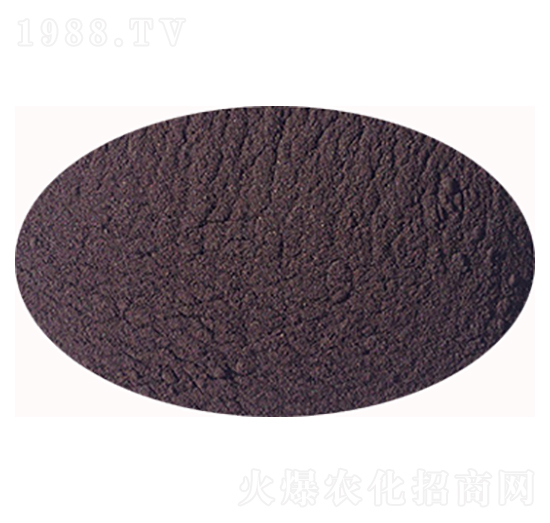 �S����⛷�-ʥ��һ��