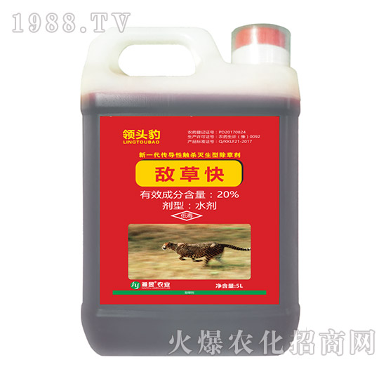 20%���ݿ�-�I(l��ng)�^��-���