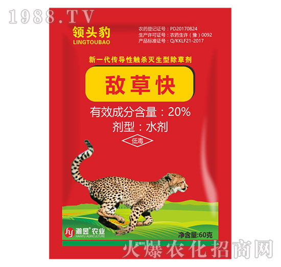 20%���ݿ�-�I�^��60��-���