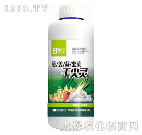 �ɼ��`-嫘���