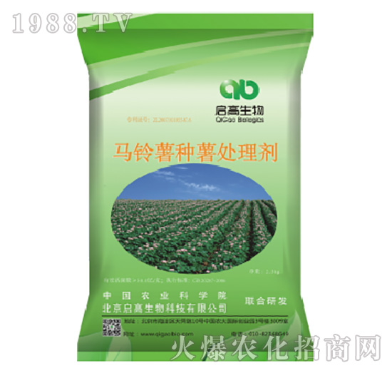 �R����N��̎�턩-��������