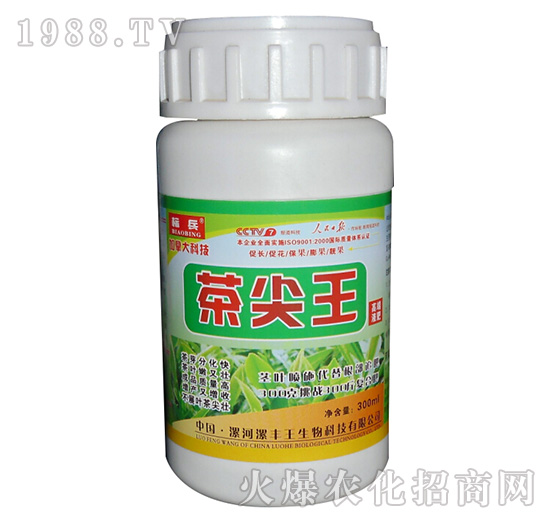 �����-�˱�-���S��