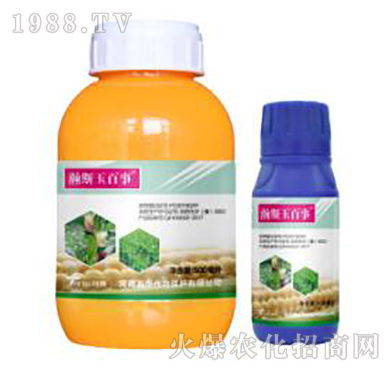 24%���ס�ݬȥ��-�˹�����-�˹����