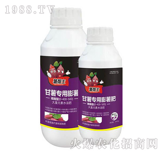 �t�팣��������-�����-���A����