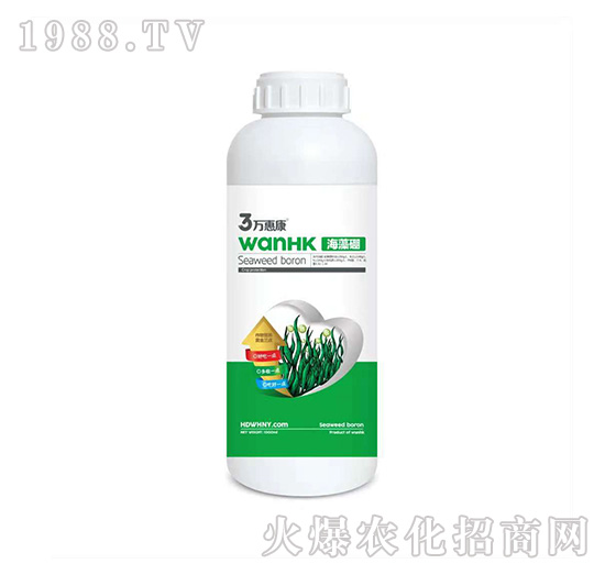 ������-�f(w��n)�ݿ�