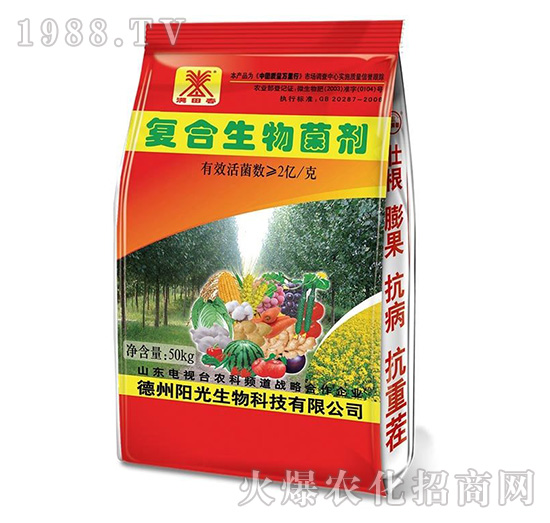 ��(f��)���������-�M�ﴺ-ꖹ�����